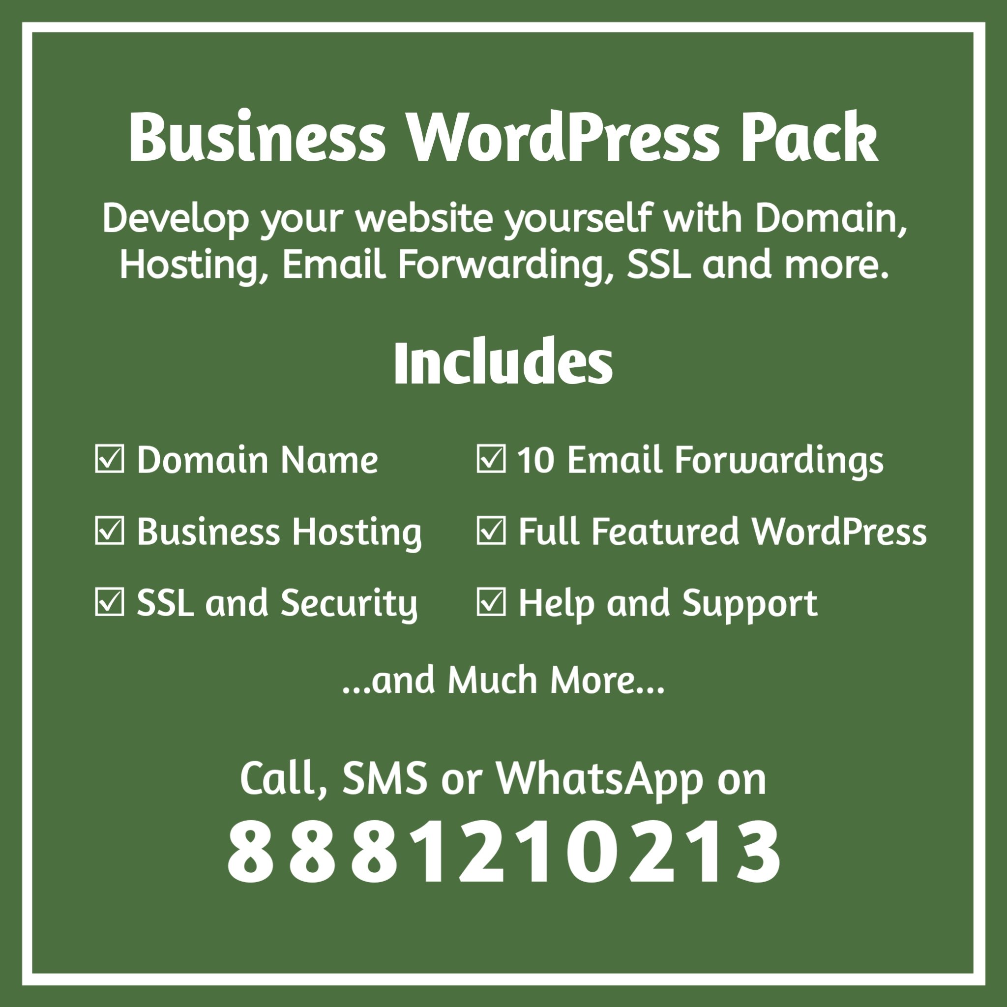 Business WordPress Pack